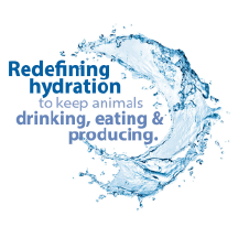 Splashing water graphic that says Redefining hydration to keep animals eating, drinking & producing.