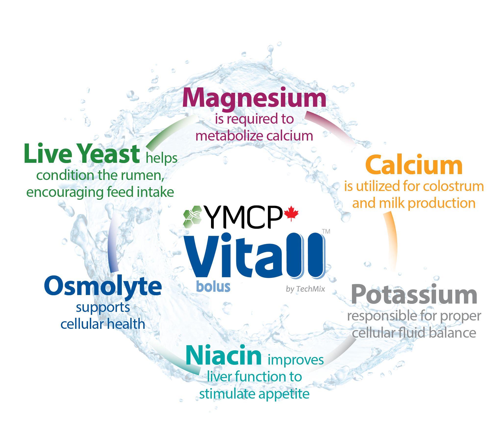 YMCP family of products components graphic